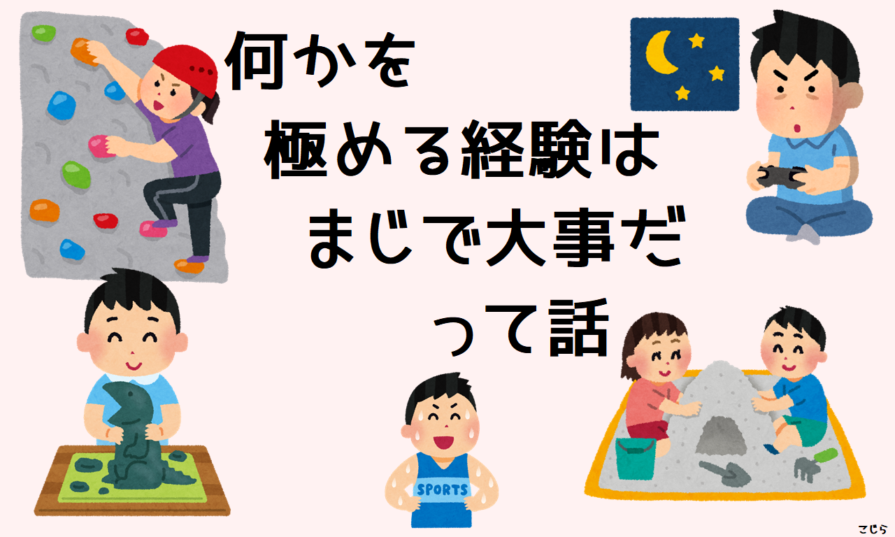 何かを極める経験はまじで大事だって話 のうみそブログ